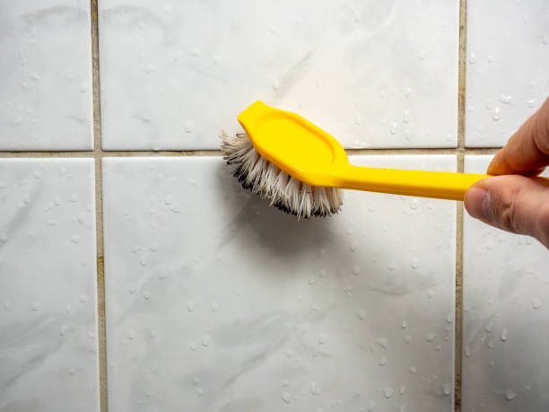 Best Certified Mold Removal  in Minneapolis, KS