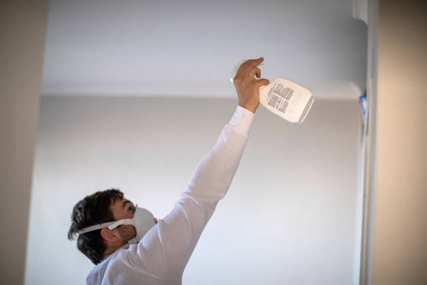 Best Mold Removal Near Me  in Minneapolis, KS