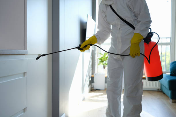Best Mold Testing  in Minneapolis, KS