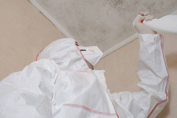 Best Mold Removal Company Near Me  in Minneapolis, KS